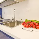 Apartamento Primopiano Luxury *